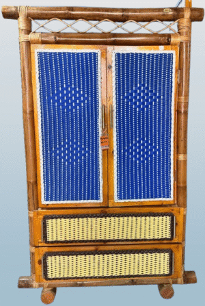 IMG-20250310-WA0039-removebg-preview Caine PLC Almirah